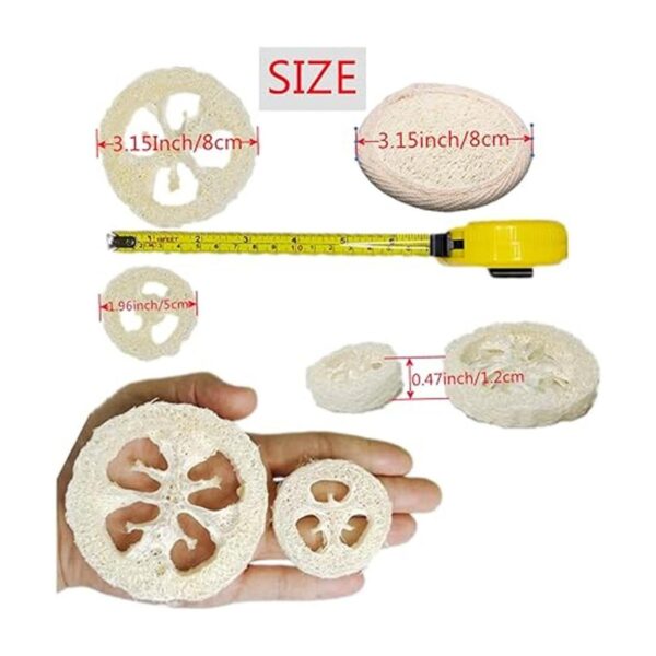 50 piezas de lufa natural de 3.15 pulgadas recortes de_2
