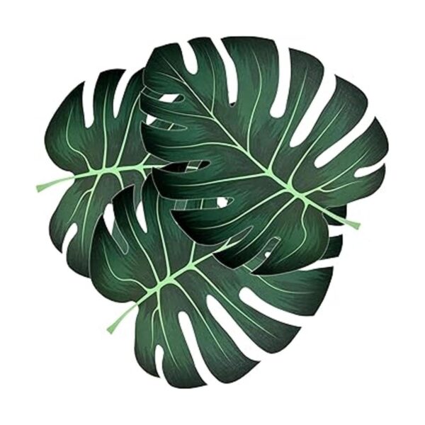 50 tapetes desechables de papel de hoja de palmera_2