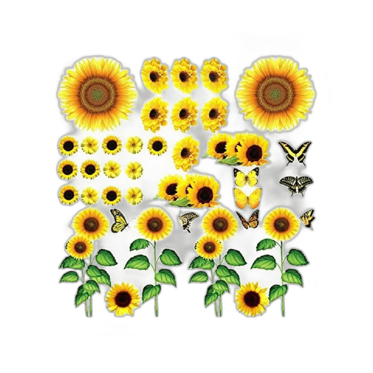53 calcomanías de pared de margaritas de girasol
