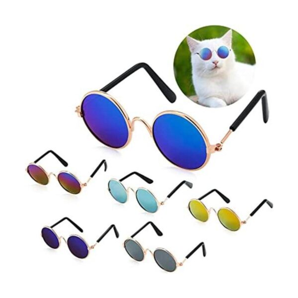 6 Piezas Divertidas Gato Pequeño Perro Gafas De Sol