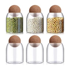 6 recipientes de almacenamiento de vidrio de 16.9 fl oz de