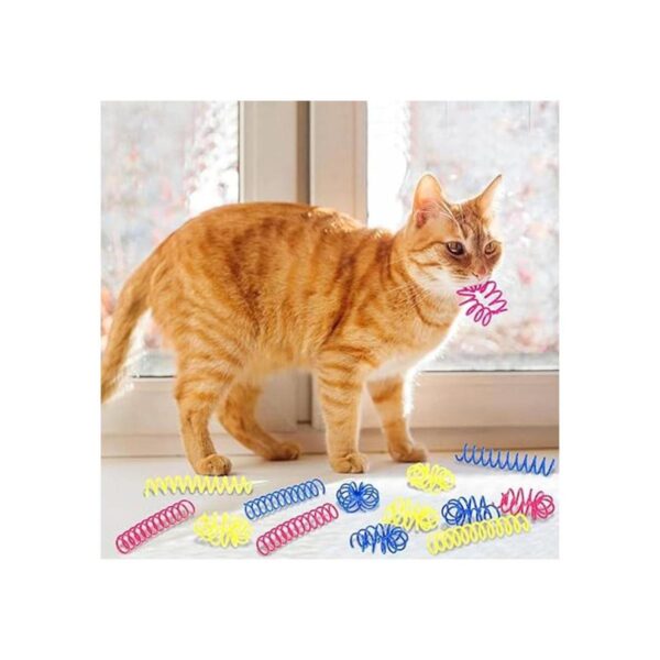 60 resortes finos y coloridos para gatos espirales