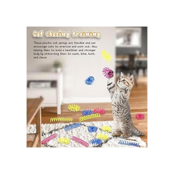 60 resortes finos y coloridos para gatos espirales