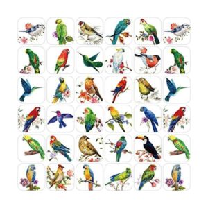 600 pegatinas de pájaros para niños fotos de pájaros