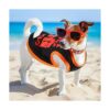 8 camisas para perros con estampado de mascotas con letras