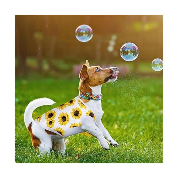 8 piezas de sublimación en blanco para perro ropa de
