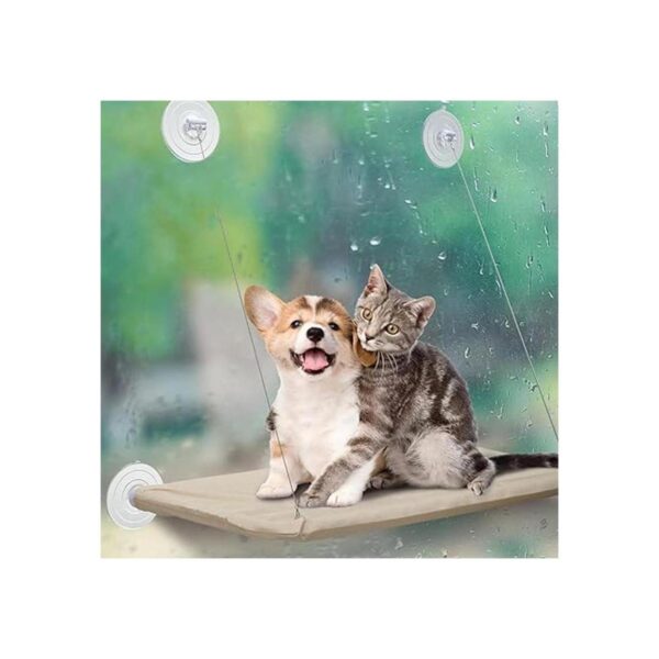 8 ventosas para ventana de gato percha para ventana de