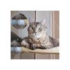 8 ventosas para ventana de gato percha para ventana de