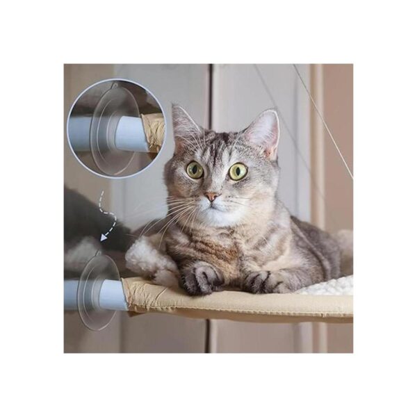 8 ventosas para ventana de gato percha para ventana de