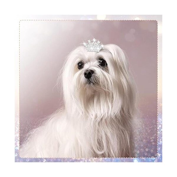 9 piezas de pinzas para el pelo de la corona de perro con