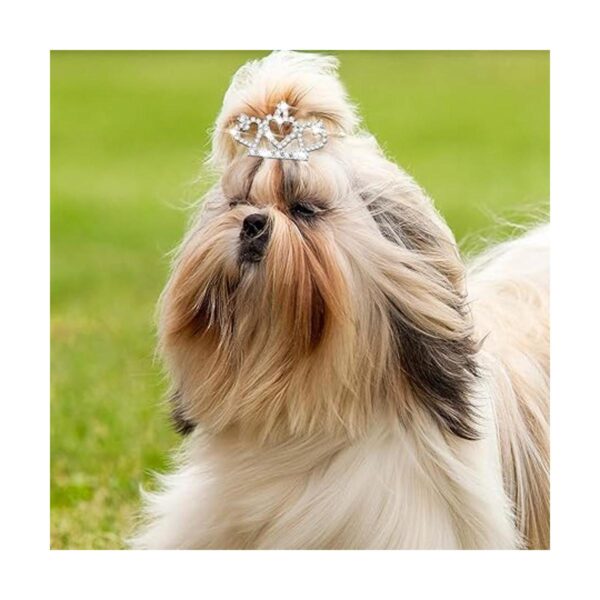 9 piezas de pinzas para el pelo de la corona de perro con