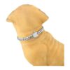 AIYIDI Collar de cadena para perro collar de cadena_6