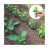 Accesorios de jardín hidropónico Kit de cápsulas de