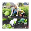 Accesorios de jardín hidropónico Kit de cápsulas de