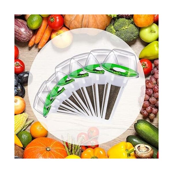 Accesorios de jardín hidropónico Kit de cápsulas de