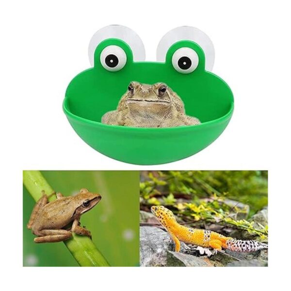 Accesorios para tanques de rana de árbol 2 piezas de