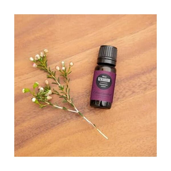 Aceite esencial puro de rosa geranio de calidad_2