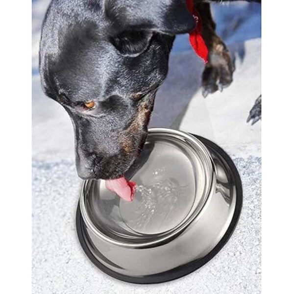 Acero inoxidable cuencos de perro 10 inch
