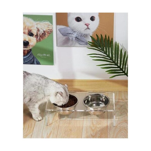 Acrylic Elevated Dog and Cat Pet Feeder Raised Clear