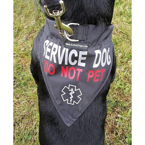 ActiveDogs Service Bandana reflectante para perro y collar