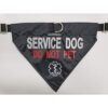 ActiveDogs Service Bandana reflectante para perro y collar