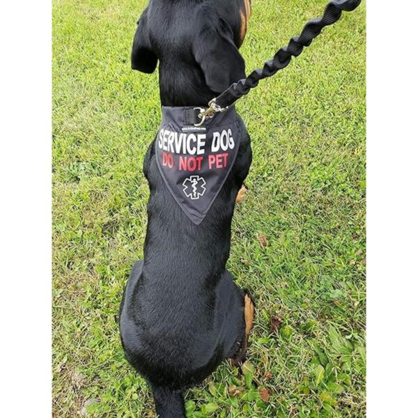 ActiveDogs Service Bandana reflectante para perro y collar
