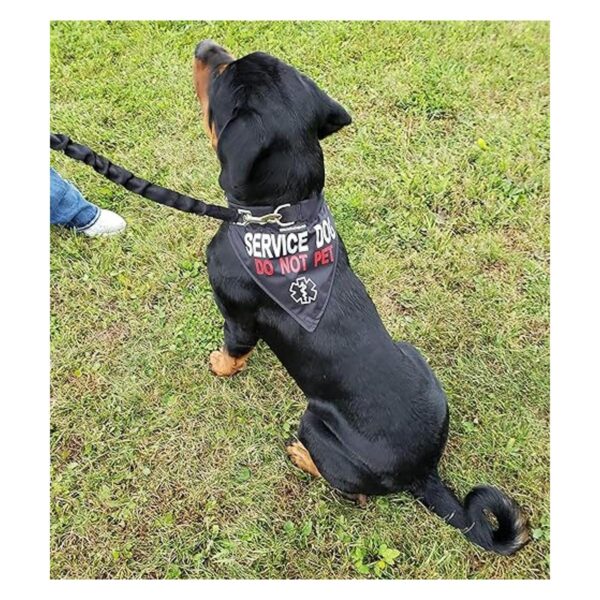 ActiveDogs Service Bandana reflectante para perro y collar