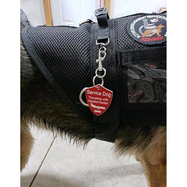 ActiveDogs Etiqueta de viaje para perro grabada rojo_4