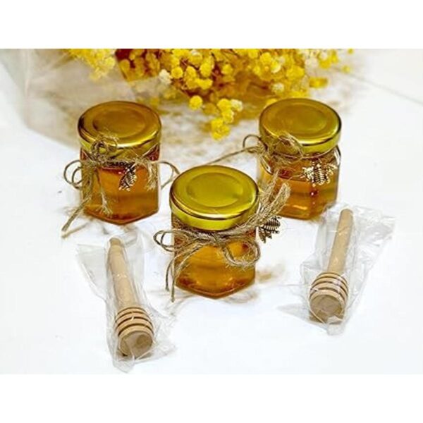 Adabocute 40 tarros de miel de vidrio hexagonales de 1.5