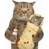 Admitrack Cobija ligera de tortilla manta redonda de_3