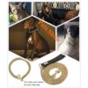 Aiyidi Collar de cadena fuerte chapado en oro de 18_6