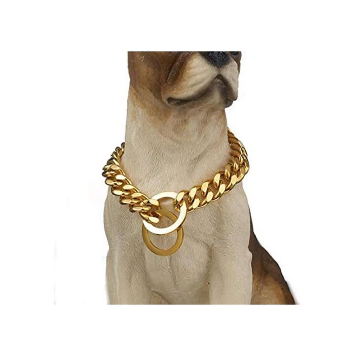 Aiyidi Collar de cadena para perro de acero inoxidable