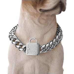 Aiyidi Collar de perro para mascota collar de acero