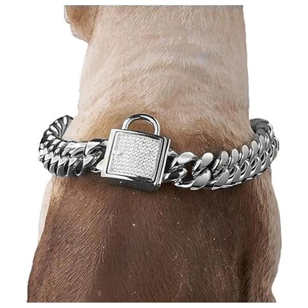 Aiyidi Collar de perro para mascota collar de acero