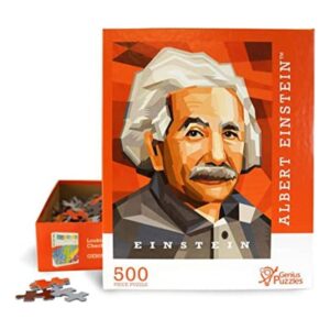 Albert Einstein Rompecabezas de química ideal como