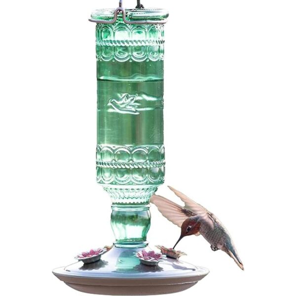 Alimentador para colibrí Avant Garden en vidrio verde_1