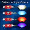Alla Lighting Xtreme Bombillas LED de repuesto para_3