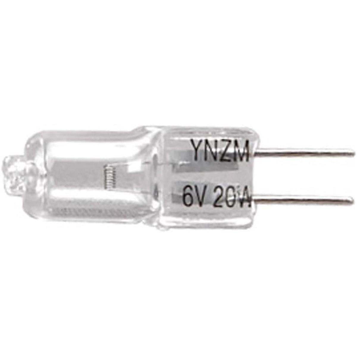 AmScope BH6 V20 W 6 V 20 W foco halógena para microscopios