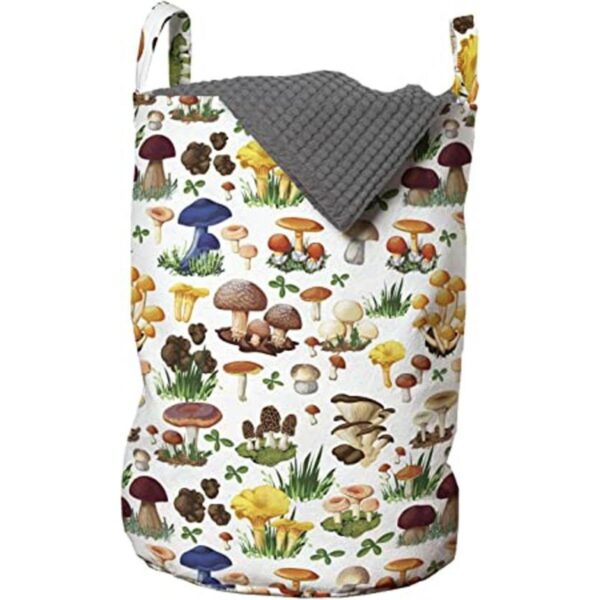 Ambesonne Bolsa de lavandería de hongos tipos de patrones_1