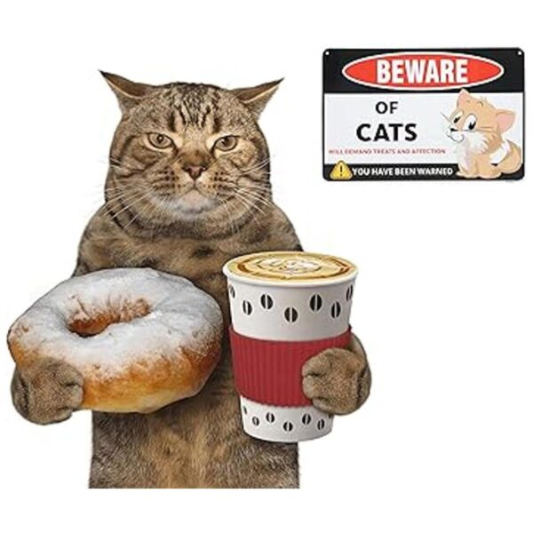 Señal de advertencia de Venicor Beware of Cats Gran_5