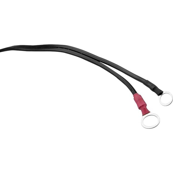 VECTOR Cargador de batería de 1.5 amperios mantenedor de_3