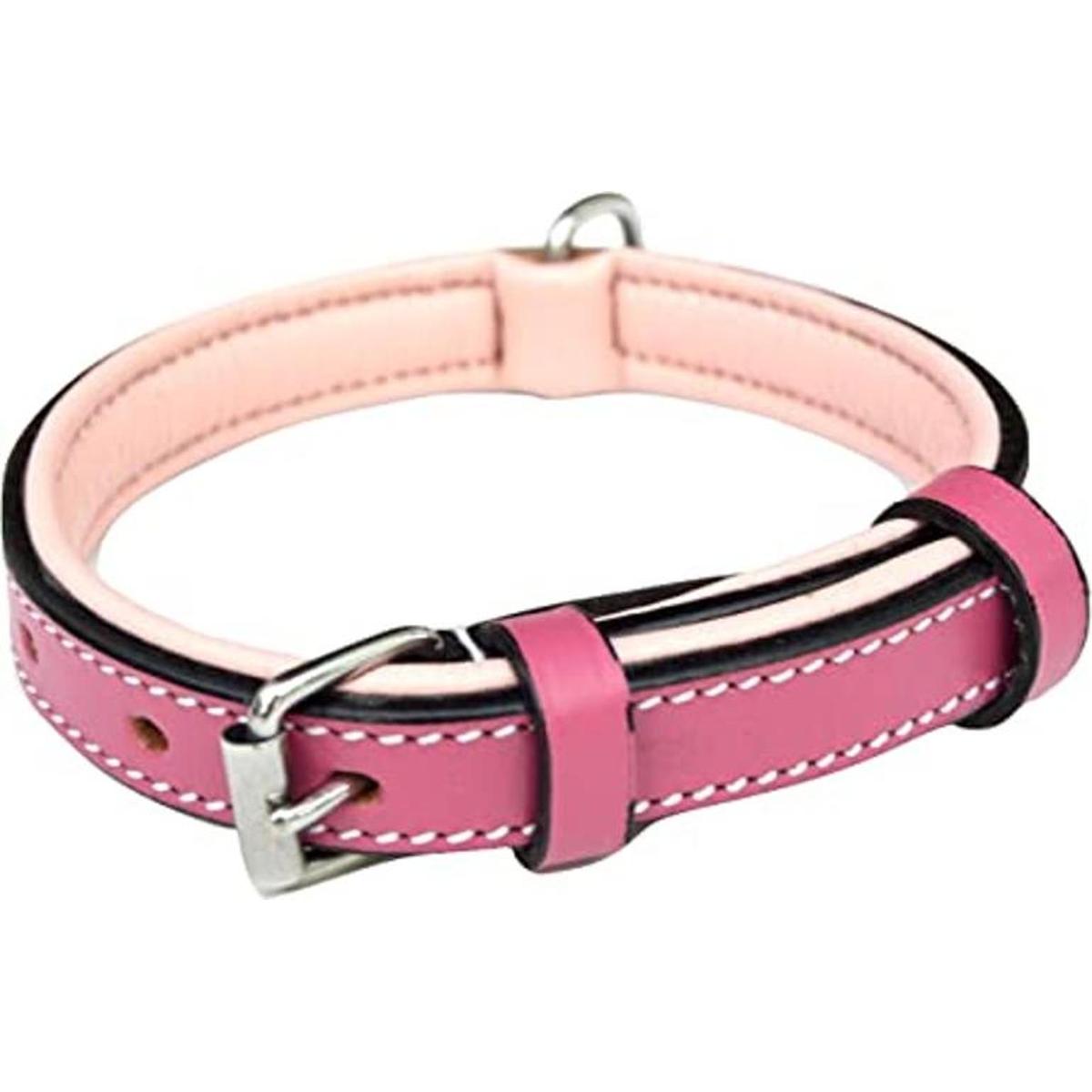 Soft Touch Collars Lujo piel collar de perro acolchado