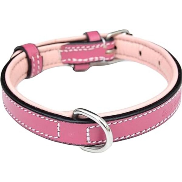 Soft Touch Collars Lujo piel collar de perro acolchado_2