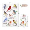 Juego de 4 toallas de cocina de pájaros en rama colibrí_3