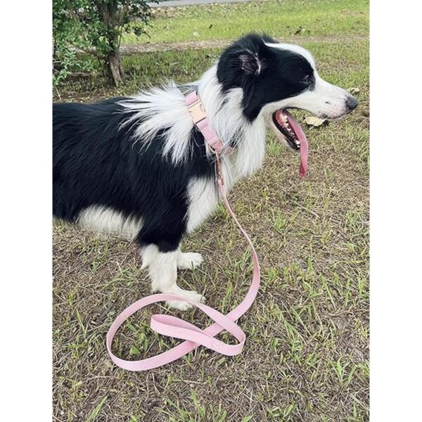 Juego de collar y correa para perro. Piel vegana suave y