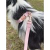 Juego de collar y correa para perro. Piel vegana suave y