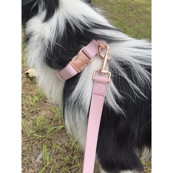 Juego de collar y correa para perro. Piel vegana suave y