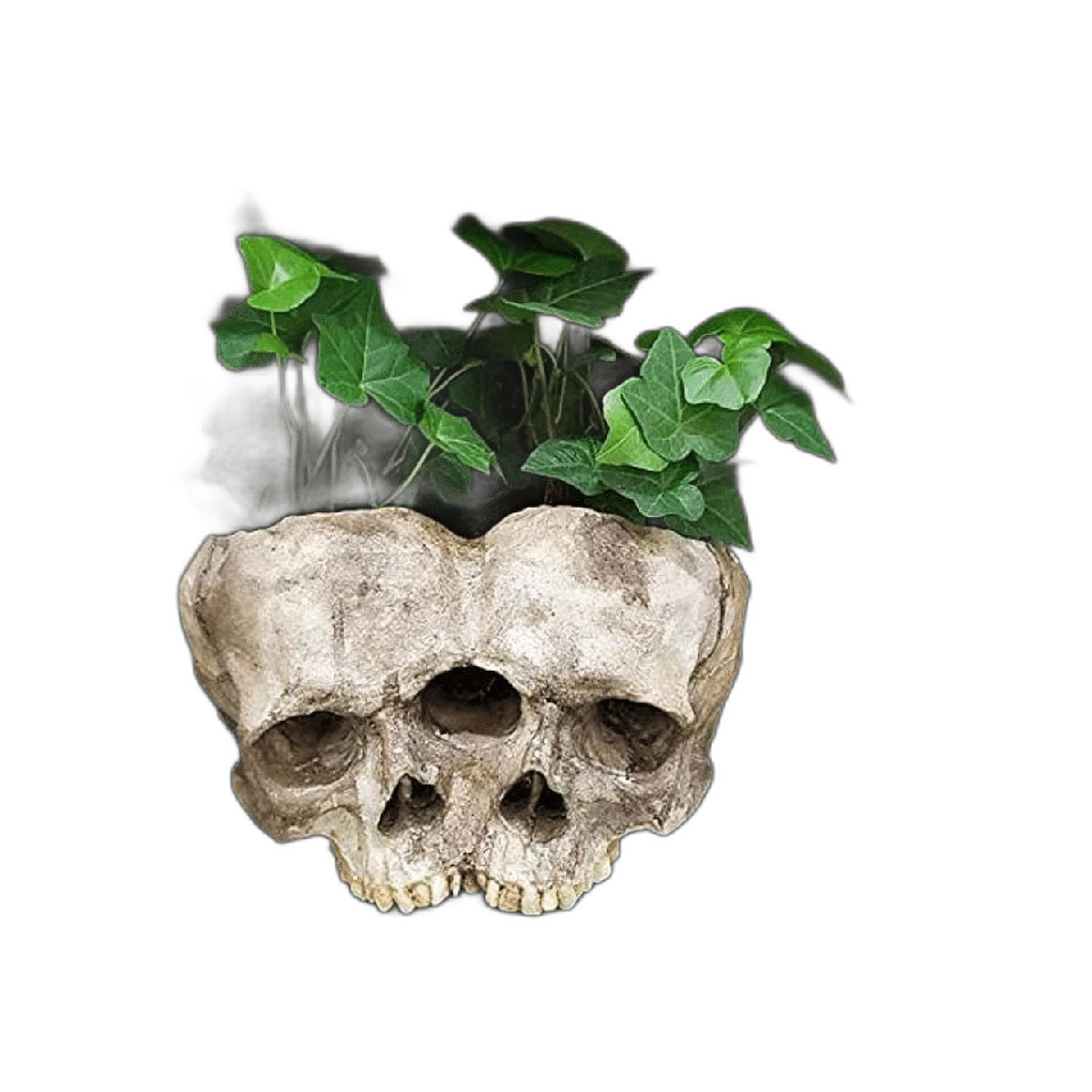 Macetas de calavera para plantas de interior maceta de