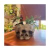 Macetas de calavera para plantas de interior maceta de