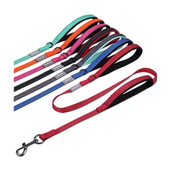 VIVAGLORY Correa de perro acolchada con dos asas correas_1